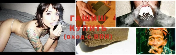крисы Зерноград