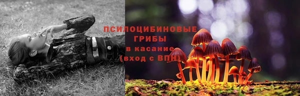марки lsd Заводоуковск